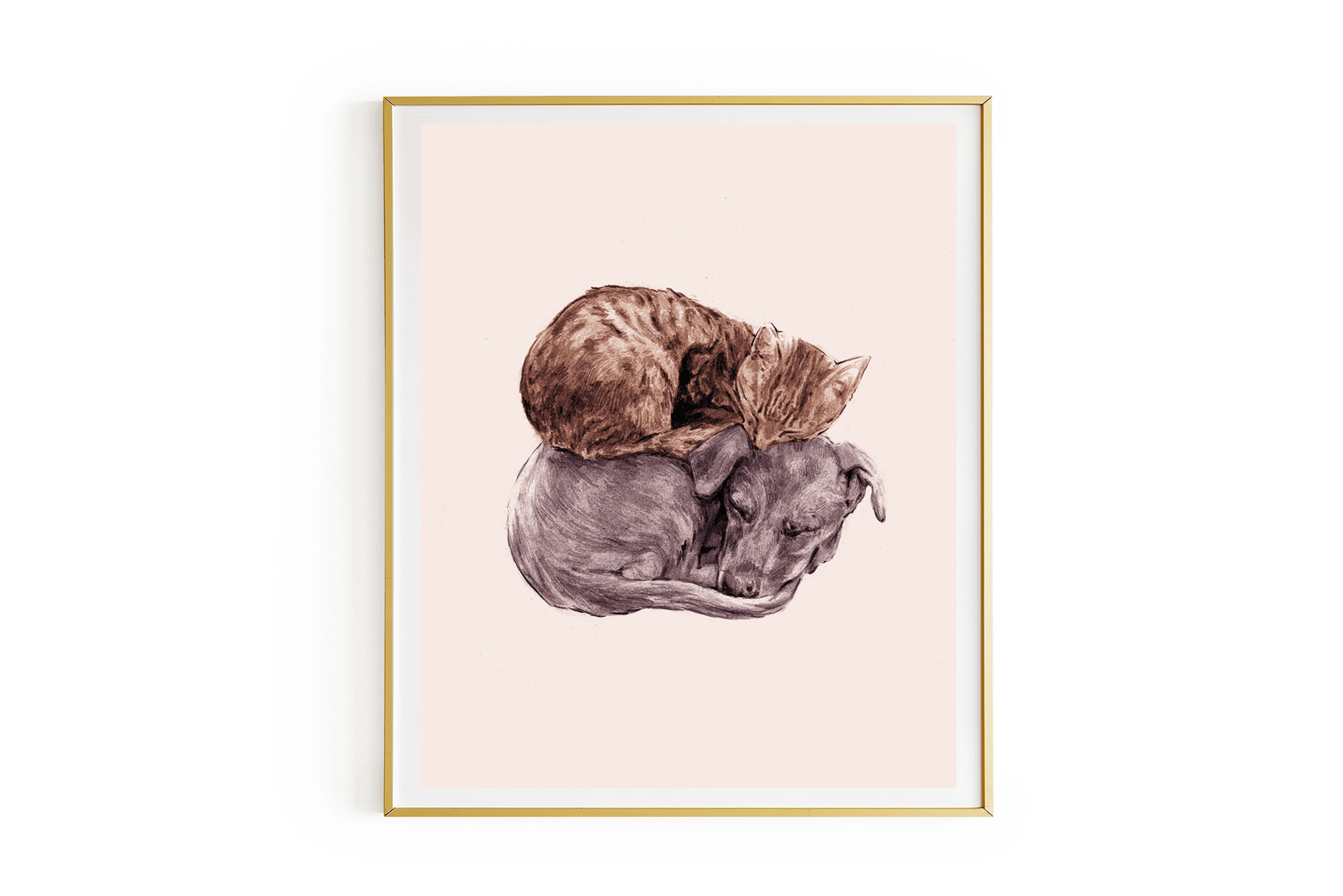 Lámina Compañía - 1